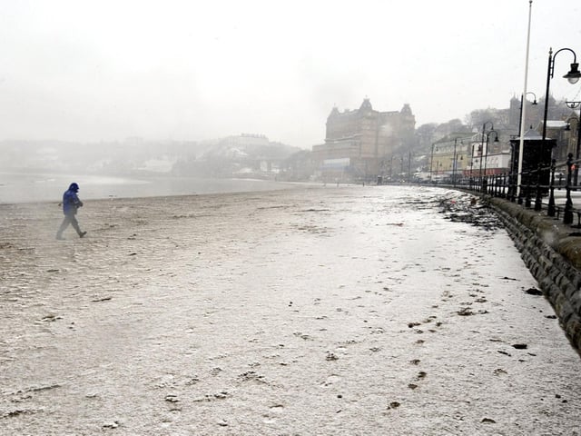 A dog walker on a snowy South Bay in 2009.