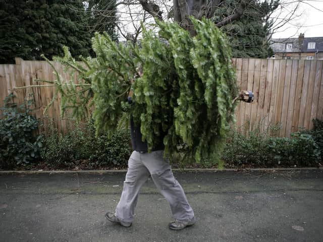 Recycling your Christmas Tree is one way to reduce waste - Pic: Getty Images