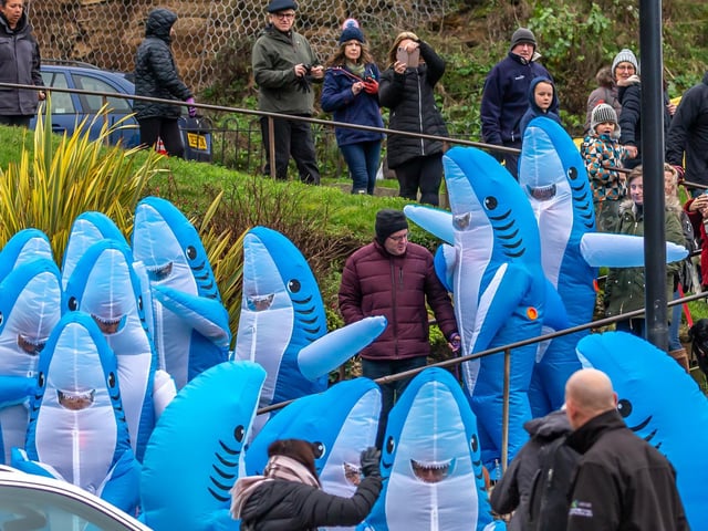 Sharks make their way down Khyber Pass.
