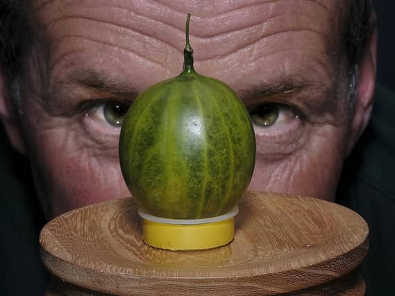 The Egton Gooseberry contest and show, with new world record holder Graeme Watson. Photo: Richard Ponter