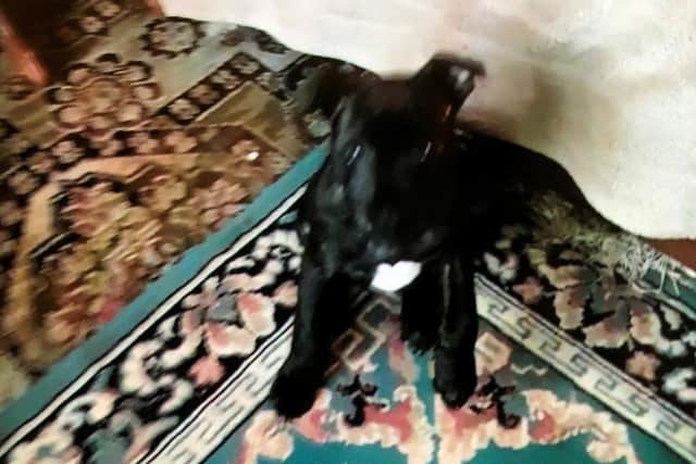 A photo of Lucy supplied by North Yorkshire Police.