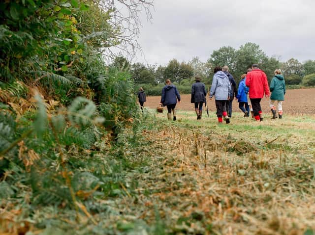 Hedgerow Walks with Sloemotion at Castle Howard