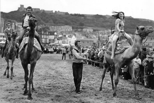 You might know that at one point camels raced on South Bay during the Scarborough carnival.You might even know why.