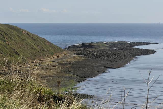 Filey Brigg. Picture: JPI Media/ Richard Ponter