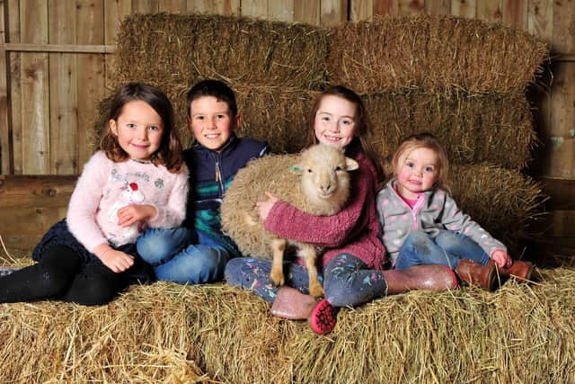 L to R Bella Francisco, aged 5, Luca Francisco, aged 8, Rory a Ouessant Sheep - the smallest breed in the world, Beth Prentice aged 10 and Sophie Prentice aged 3
