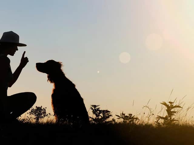 Training starts from the moment your dog comes home.