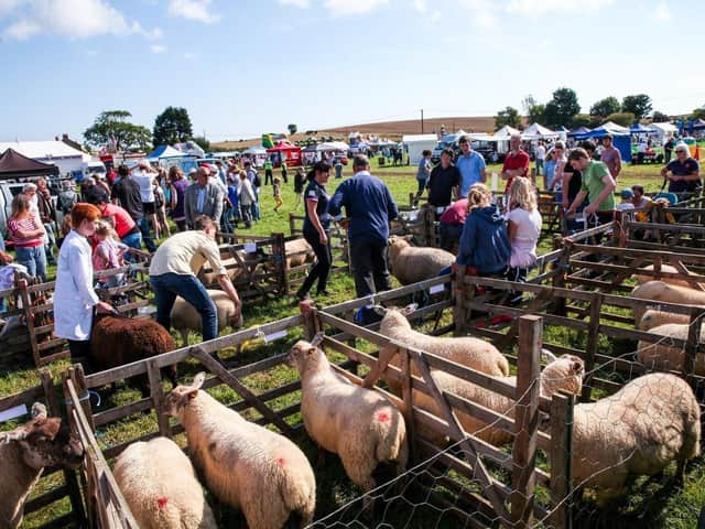 The show in 2016. Picture: JPI Media/ Ceri Oakes