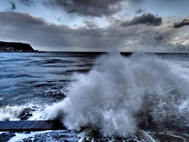 Picture by Keith Humphrey.