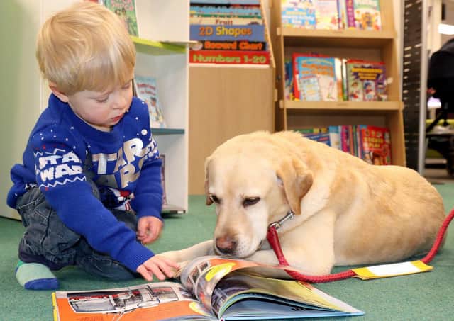 Read2Dogs is running at Malton Library for six weeks.