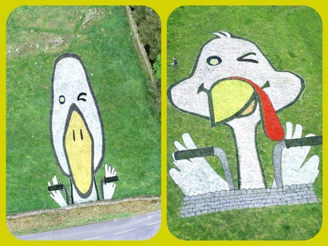 Last year's winning design in the Tour de Yorkshire land art competition.