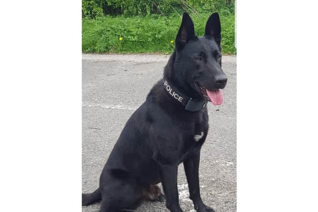 PD Bobby detained Lowther hiding under a barrier of the A1. Picture from North Yorkshire Police