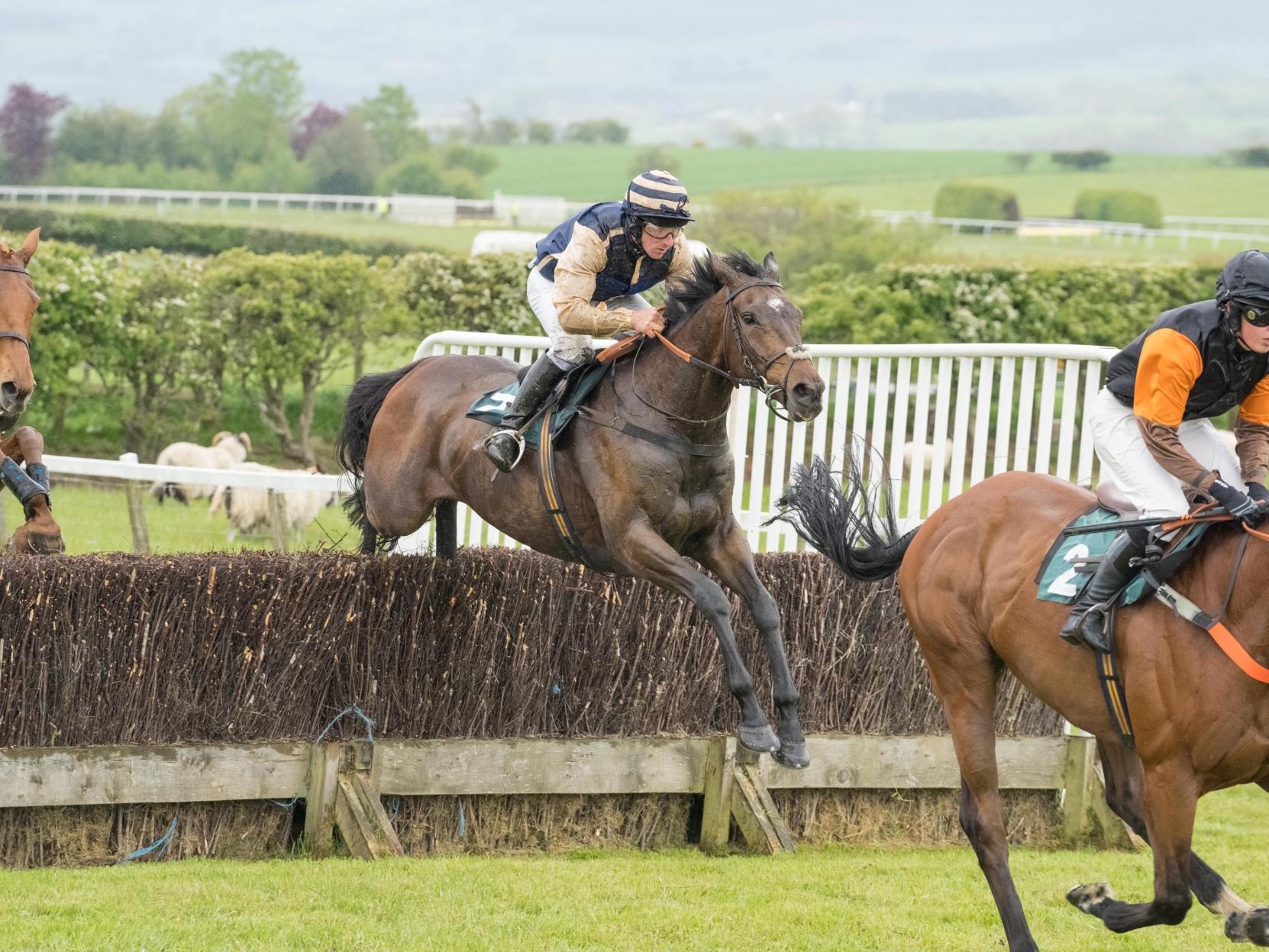 Massive entry for Scarborough Races at Charm Park The Scarborough News
