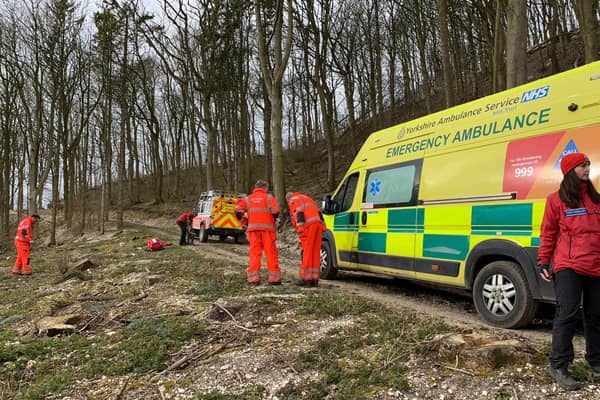 Scarborough and Ryedale Mountain Rescue unit on site at Saturday's rescue.