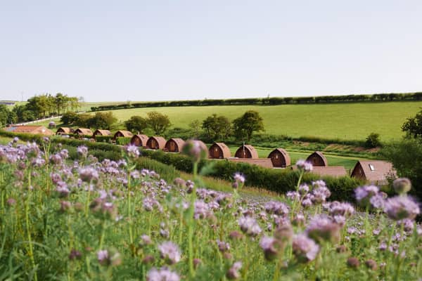 Humble Bee Farm will running a number of events throughout 2020. Photo: Istvan Magyar