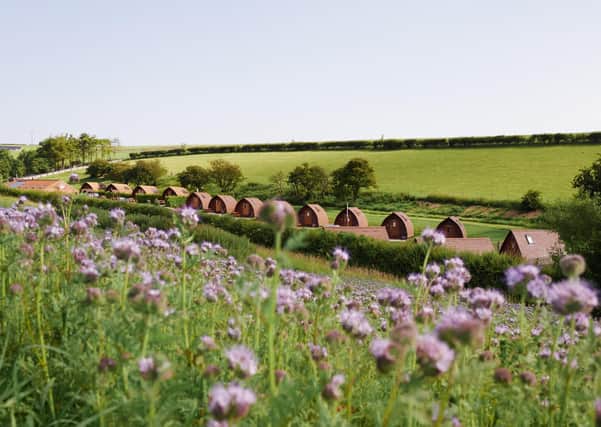 Humble Bee Farm will running a number of events throughout 2020. Photo: Istvan Magyar