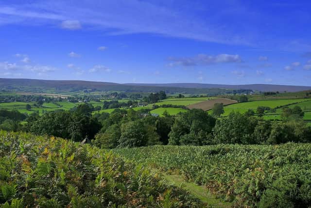 The North York Moors are highlighted as an area where house prices are particularly high.