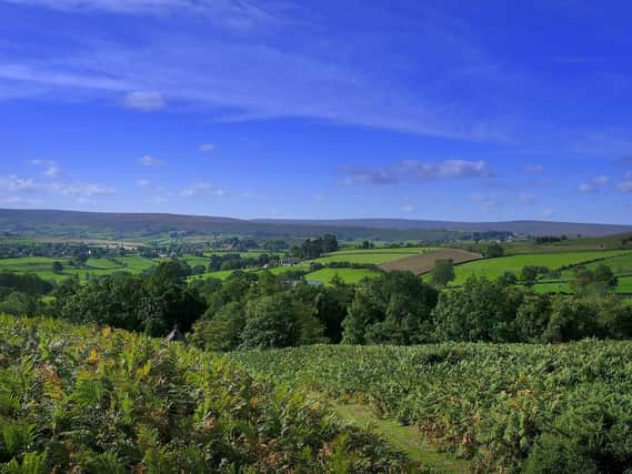 The North York Moors are highlighted as an area where house prices are particularly high.
