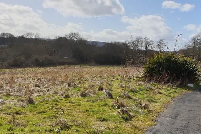 The land the holiday home will be built on. Picture: JPI Media/ Richard Ponter