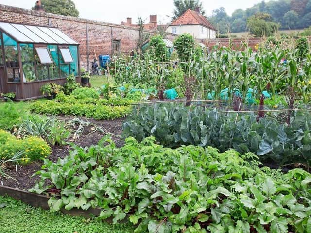 Why you should grow your own