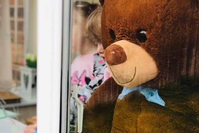 One of the bears left out for the Scarborough Bear Hunt Picture: Justyna Majchrzak