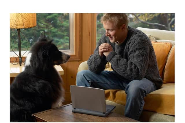 Things you can do with your dog without setting foot over your threshold!