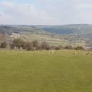 The North Yorkshire Moors National Park