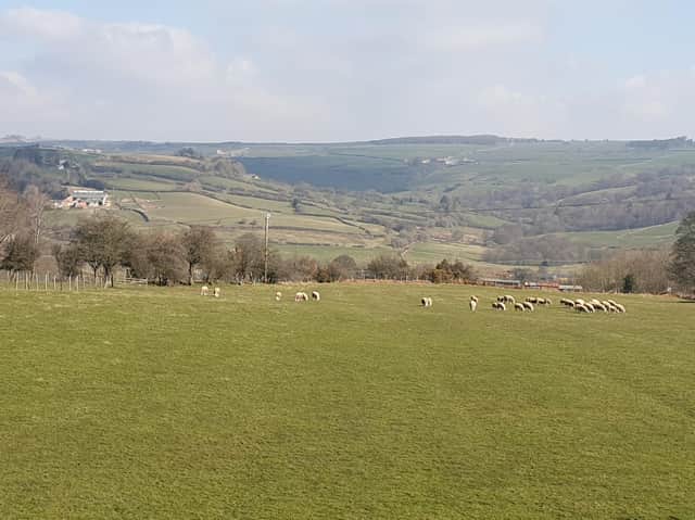 The North Yorkshire Moors National Park