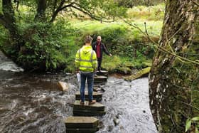 Stepping stones at Hartoft