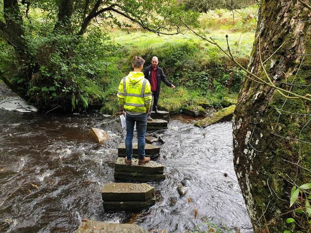 Stepping stones at Hartoft