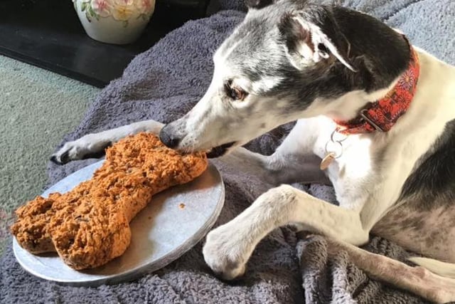 Kris Owen baked her dog a special birthday cake.