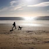 Scarborough Council will not ban dogs from beach