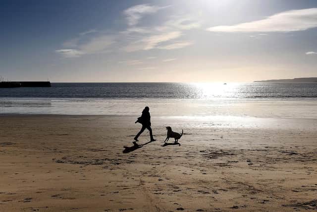 Scarborough Council will not ban dogs from beach
