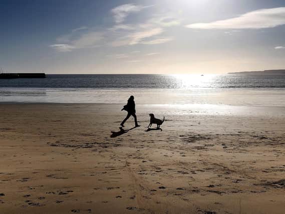 Scarborough Council will not ban dogs from beach