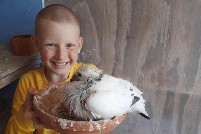 Charlie with the baby pigeon he donated at auction