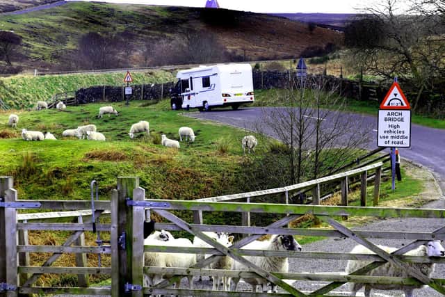Sheep on the moors near Goathland.