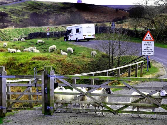 Sheep on the moors near Goathland.
