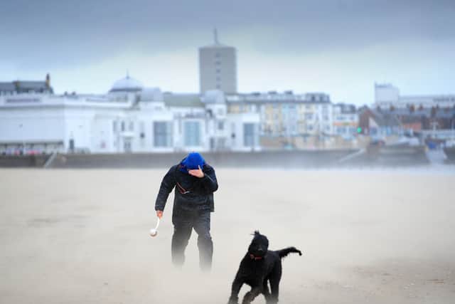 A dog walker on Bridlington Bay during Storm Ciara in February