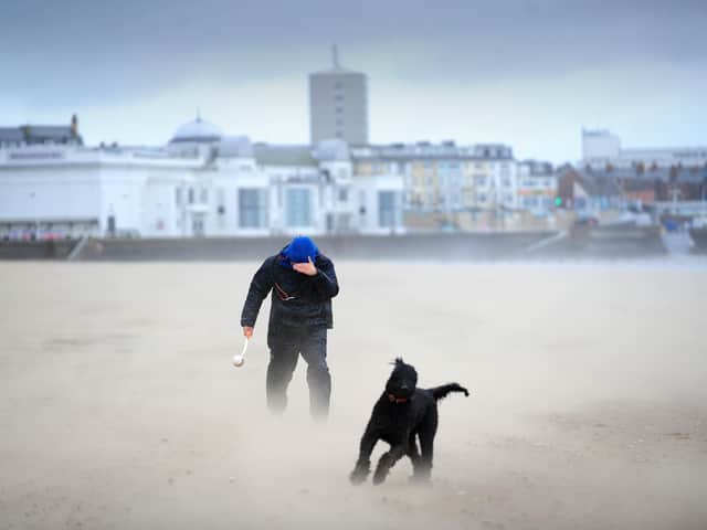 A dog walker on Bridlington Bay during Storm Ciara in February