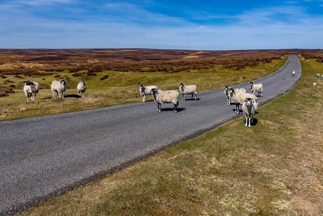 A deserted road between Hutton-le-Hole and Rosedale Abbey.