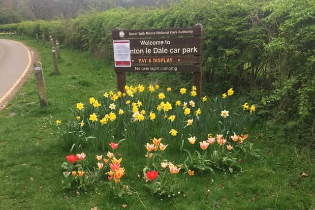 Daffodils in Thornton le Dale