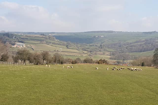The North Yorkshire Moors