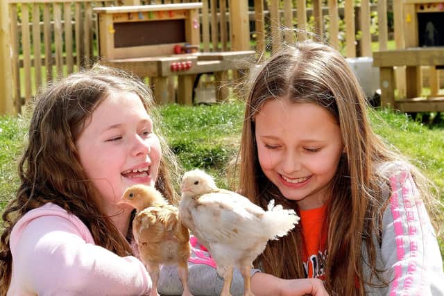 Sisters Olivia and Darcey with two of the chicks