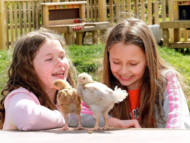 Sisters Olivia and Darcey with two of the chicks