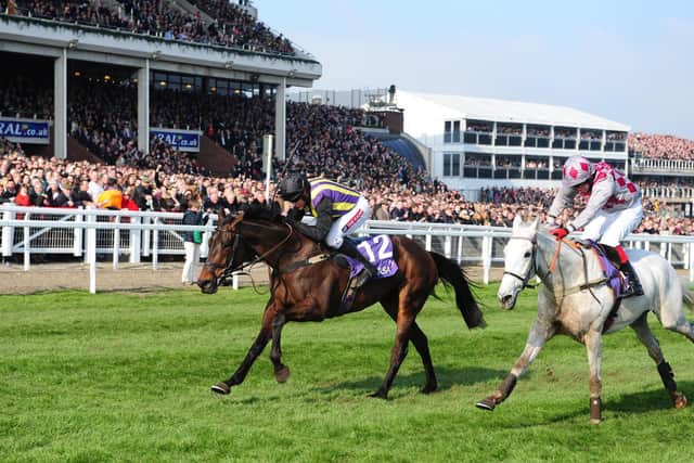OFaolains Boy races to victory at the 2014 Cheltenham Festival