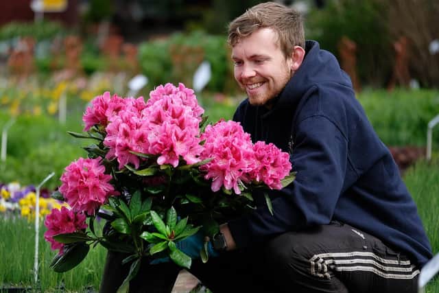 Harry Clark at Reighton Nurseries