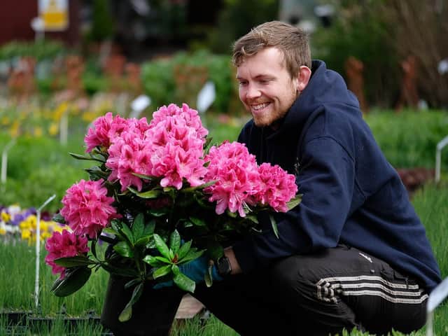 Harry Clark at Reighton Nurseries