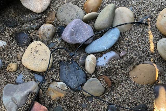 The cable tie once it had been removed. Picture: Sea Life Scarborough