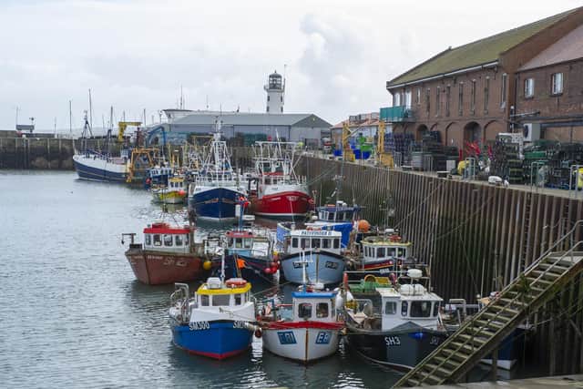 Scarborough Harbour. Picture: JPI Media