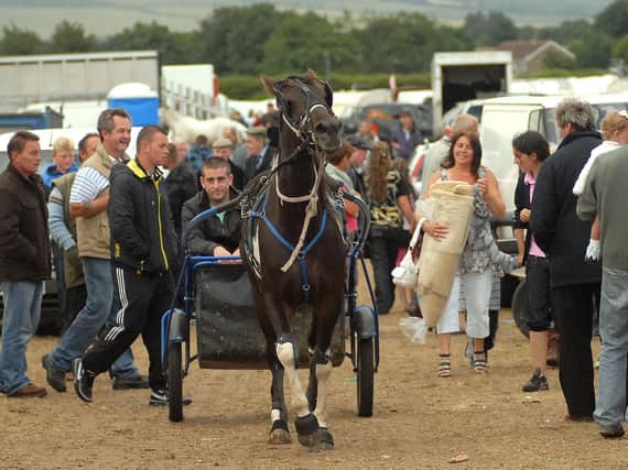 Seamer Horse Fair. Picture: JPI Media/ Richard Ponter