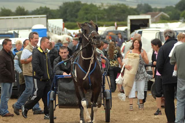 Seamer Horse Fair. Picture: JPI Media/ Richard Ponter